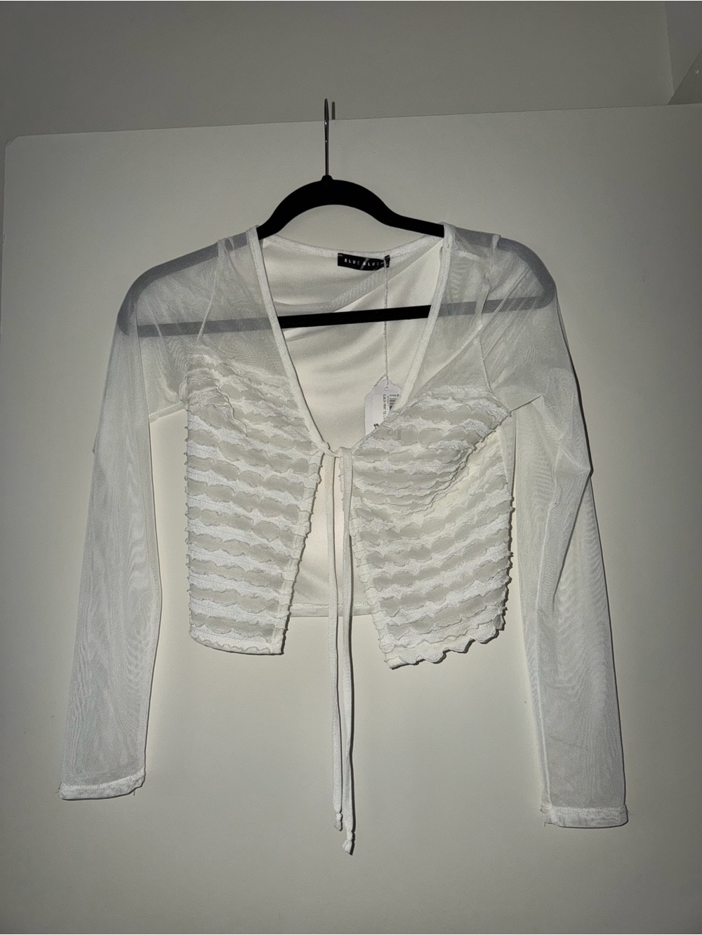 BRAND NEW White Sheer Tie-Front Cropped Top